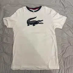 LACOSTE リンガーTシャツ ホワイト
