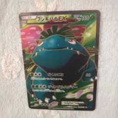 ミュウツーEX XY8 カメックスEX XY1 フシギバナEX XY1 SR ミュウツーEX XY8 カメックスEX XY1 フシギバナEX XY1 SR