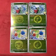 シロナのロゼリア シロナのロズレイド ミラー メガドリーム 進化ライン　w198