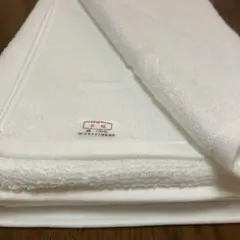 Item thumbnail for item 053399ec-f743-403d-811e-3d5e3e1d104b