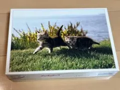 Item thumbnail for item 2227e01d-9e45-4a38-8c34-c83be0c5cf64