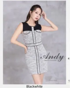 andy ドレスのサムネイル