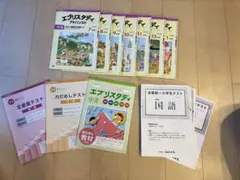 Z会　エブリスタディ　アドバンスト　国語、社会　まとめ売り 2026年最新】アドバンスト z会の人気アイテム - メルカリ