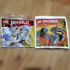 ミント様専用　新品】レゴ　ニンジャゴー　ポリバッグ　２個セット