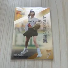 Item thumbnail for item 94f8be33-e2a0-4ebd-8c12-3dbd30b37800