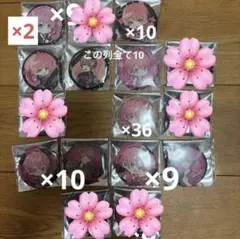 騎士A 騎士X てるとくん 缶バッジ