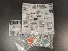 ポケモン30周年メタルチャームマスコット　めじるしアクセサリー　キーホルダー