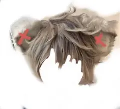 2025年最新】ラギーブッチ コスプレの人気アイテム - メルカリ