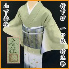 605mt112○紬 単衣 亀甲絣 淡水色 生地感軽め 居敷当て付 ややふくよか
