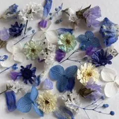 押し花 NO.393 デルフィニウム レースフラワー - メルカリ