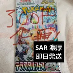 300円企画‼️‼️テラスタルフェス早い者勝ち✨ パック 即購入⭕️