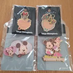 ランド　ディズニーストア　バレンタイン　ホワイトデー　ミッキー　ミニー　限定ピン