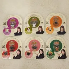 【新品・未開封】THE DOGジョージア　キーホルダー　6種