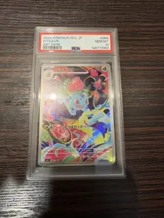 ポケモンカード フシギソウ 2枚セット PSA10・通常版 - メルカリ