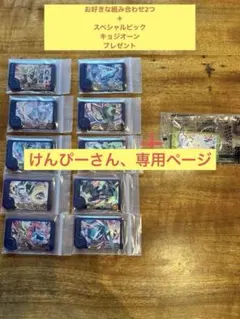 ポケモンフレンダ　お好きな組み合わせ2点＋スペシャルピックキョジオーンプレゼント