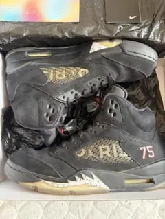 NIKE AIR JORDAN 5 PSG スニーカー
