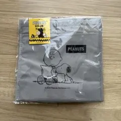PEANUTS スヌーピー 保冷温ポケット付バッグ　新品未使用