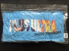 Item thumbnail for item 74730d78-017c-4b3a-995b-5e89e336473c