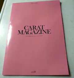 SEVENTEEN オフィシャル　ファンクラブ会員特典ポストカード付き