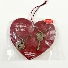 ディズニー キーチェーン ディズニーシー 5周年 シーズンオブハート レア