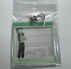 Dr.STONE 東武動物公園 SNS風BIGアクリルキーホルダー 千空