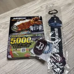 オリックス・バファローズ ボトルマーカータオルホルダーとカレー