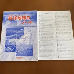新詳地理Bノートのサムネイル