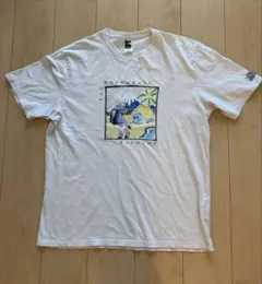 THE NORTH FACE Supreme Tシャツ