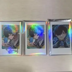 ホロホロ鳥 BURST トレカ