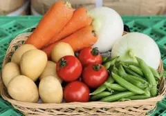 【農家直送】茨城県産野菜詰め合わせ　野菜セット　野菜ボックス　80サイズ