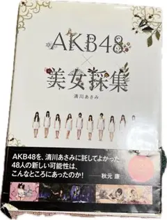 AKB48 美女採集 清川あさみ
