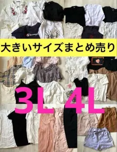 大きいサイズレディース　まとめ売り　3L 4L 春服　夏服　ビッグサイズ　大学生