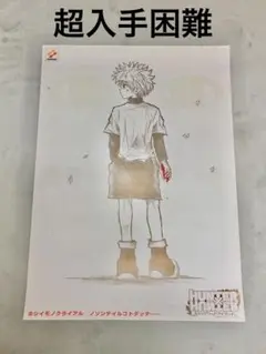 HUNTER×HUNTER 幻のグリードアイランド 販促用 ポスター 中古 - メルカリ