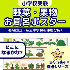 Hoho様 リクエスト 3点 まとめ商品