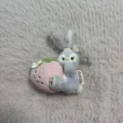 ステラルー♡コスチューム♡ぬいば♡ストロベリー ステラルー♡コスチューム♡ぬいば♡ストロベリー
