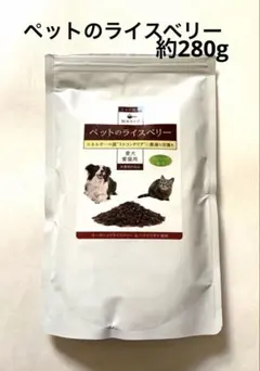 Item thumbnail for item 34bd7109-13ea-46ee-a7f2-47eb31b23071