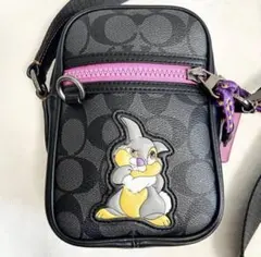コーチ ディズニー とんすけ ショルダーバッグ バッグ