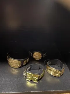 プロレス スポーツ