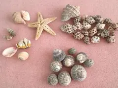 Item thumbnail for item ae357c36-9ac0-48cc-85f2-70db28e99389