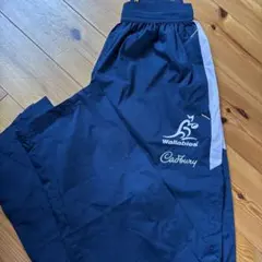 Item thumbnail for item 95c768e0-27fa-46e1-8139-bd1a926e0f92