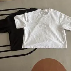 クロップド丈 半袖Tシャツ 2色セット