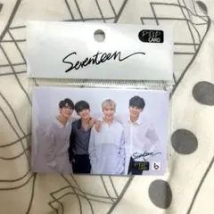 SEVENTEEN ラキドロ　ヒポチ　4枚セット セブチHAPPY BURSTDAY ユニバ ラキドロ ヒポチセット4枚 セブチ