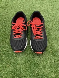 Item thumbnail for item 8ab03df8-388e-495b-b5e8-b164c5b0e07c