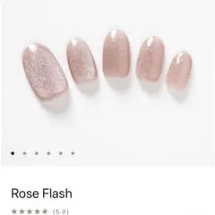 未使用✦EVERNAIL エバーネイル ネイルチップ ミディアムオーバル グレー 未使用✦EVERNAIL エバーネイル ネイルチップ ミディアム