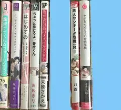 ボーイズラブ漫画 BL まとめ売り