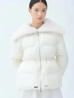 2026年最新】CELFORD カラー：ホワイト系 ダウンジャケットの人気