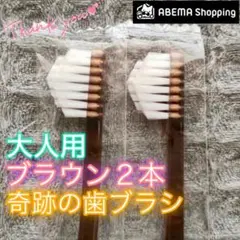 【新品】奇跡の歯ブラシ 大人用 ブラウン ABEMA限定モデル 公式正規品 2本