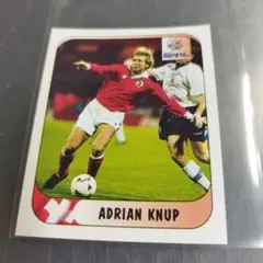 マーリン ユーロ1996 ステッカー エイドリアンクヌップ　スイス代表　45