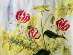 ♪余剰苗特売市♪】富貴蘭 桃源郷② - メルカリ