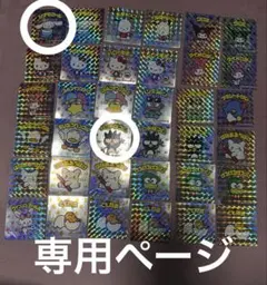 本日セール中様専用ページ